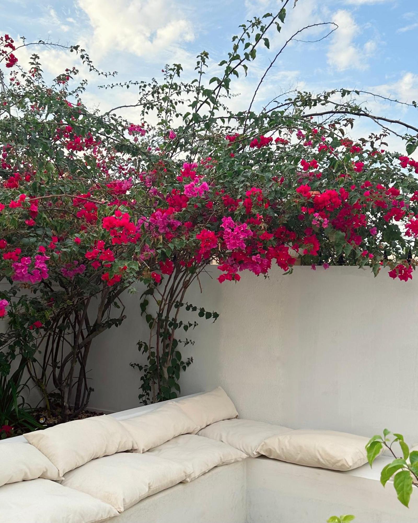 Villa Bayt Lili Chic With Private Pool