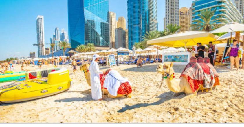 Homestay Beautiful Full Seaview Room In Jbr Dubai