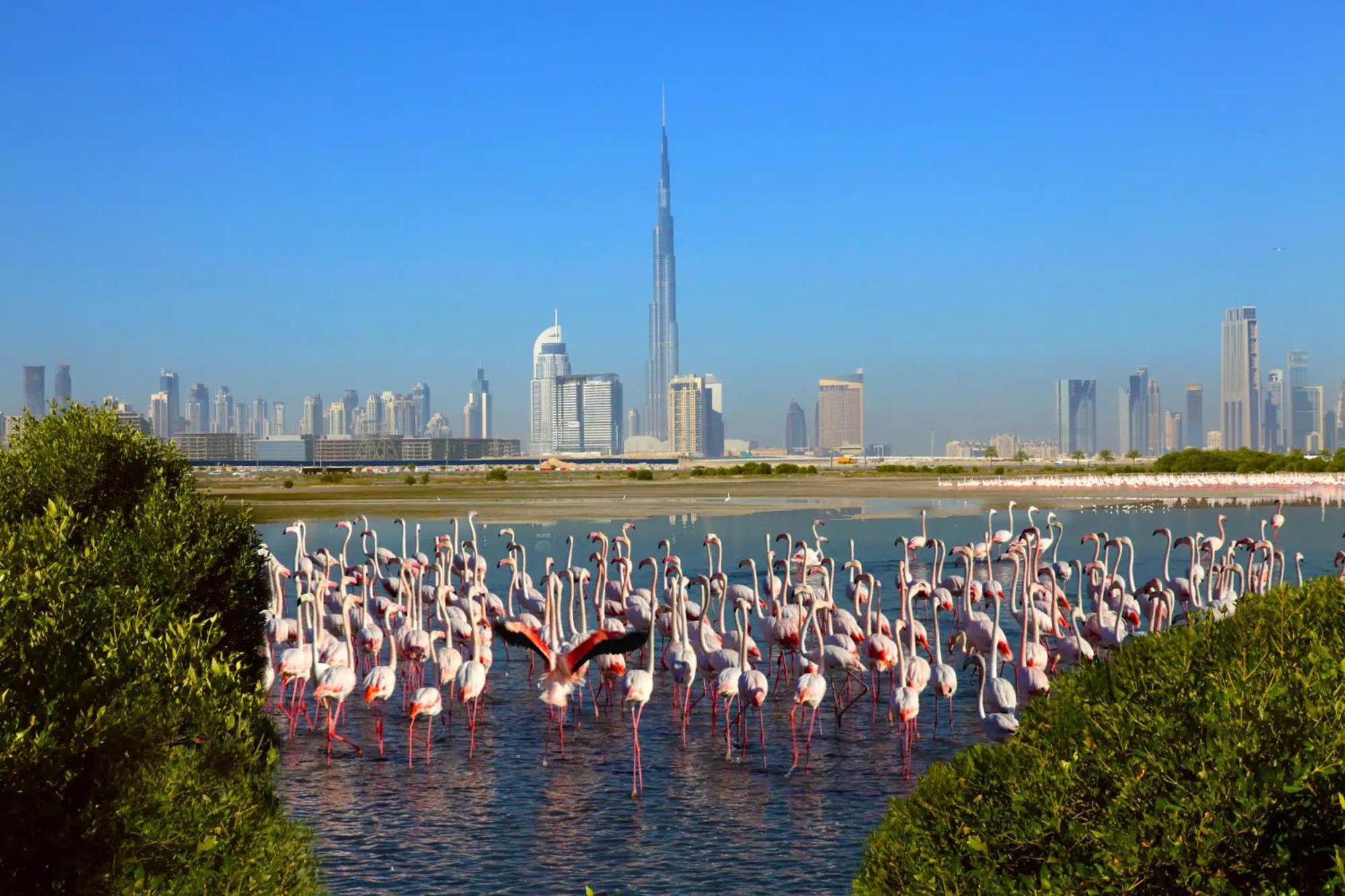 Manzil - 2br Family Styled In Creek With Access Dubai