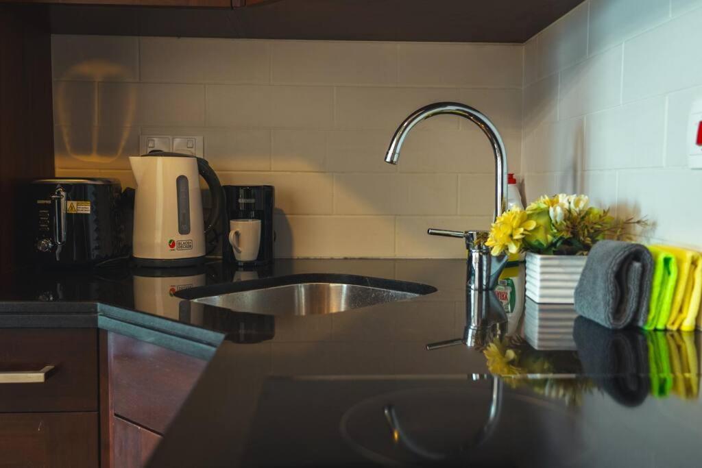 Homes Near Burj Khalifa And Mall Apartment