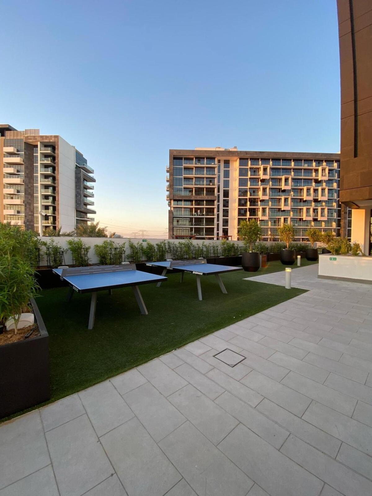 Apartment Stylish In