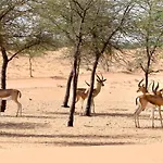 Nujoum Overnight Camp With Signature Desert Safari