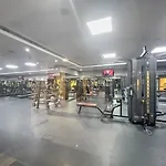 Stonetree - New Studio In Jlt