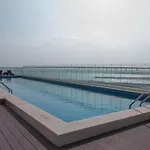 Cozy 1Br Apart With Pool And Gym 10Mins Away By Drive To Dxb Airport