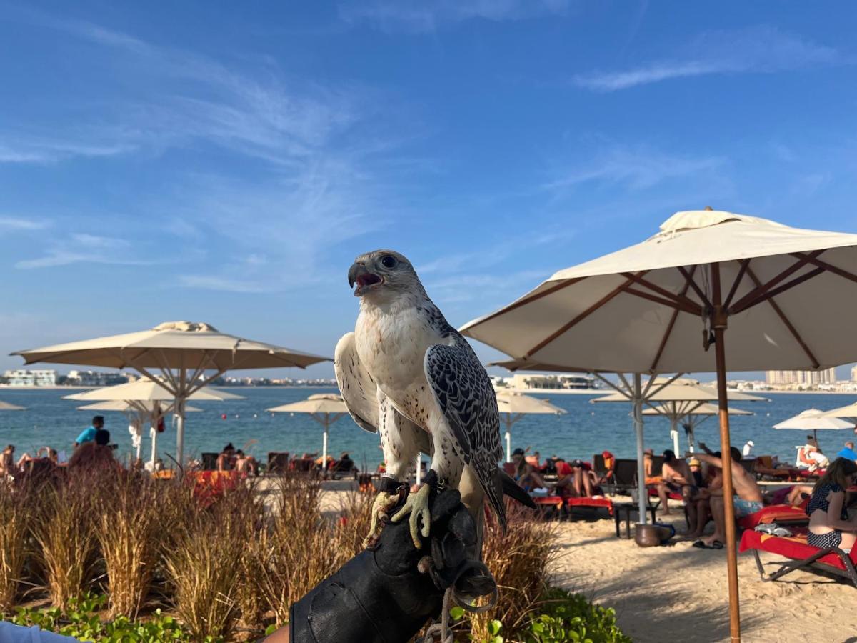 Beach - Jumeirah Zabeel Saray Royal Residences Dubai
