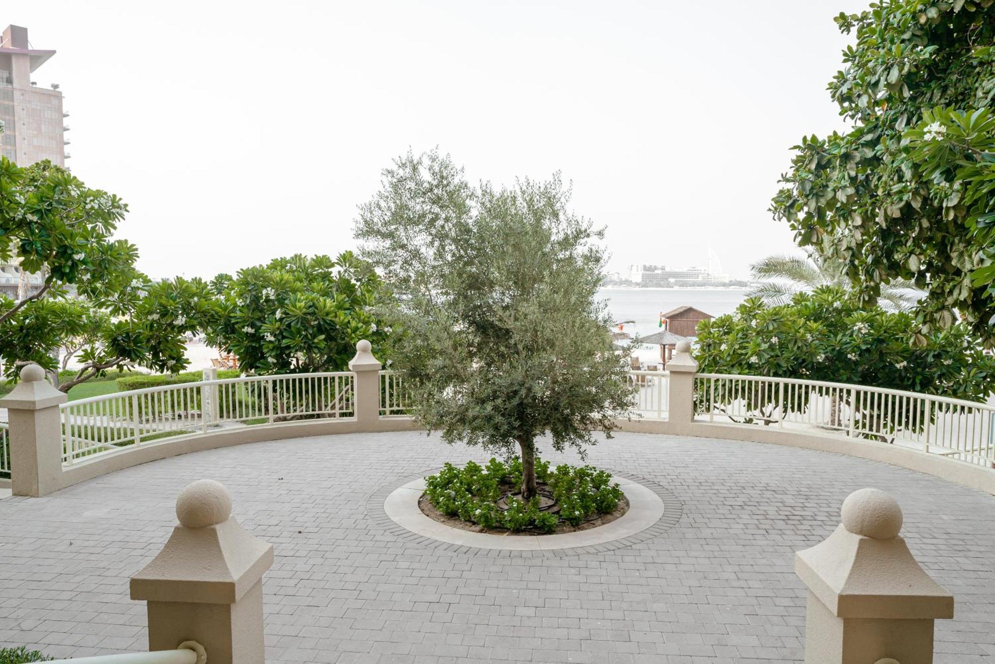 2bdr Luxury In Palm *
