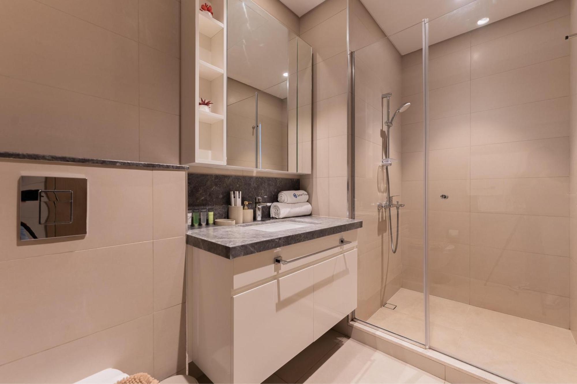 Havn - 2 Bed In Downtown, Linked To Mall Apartment Dubai