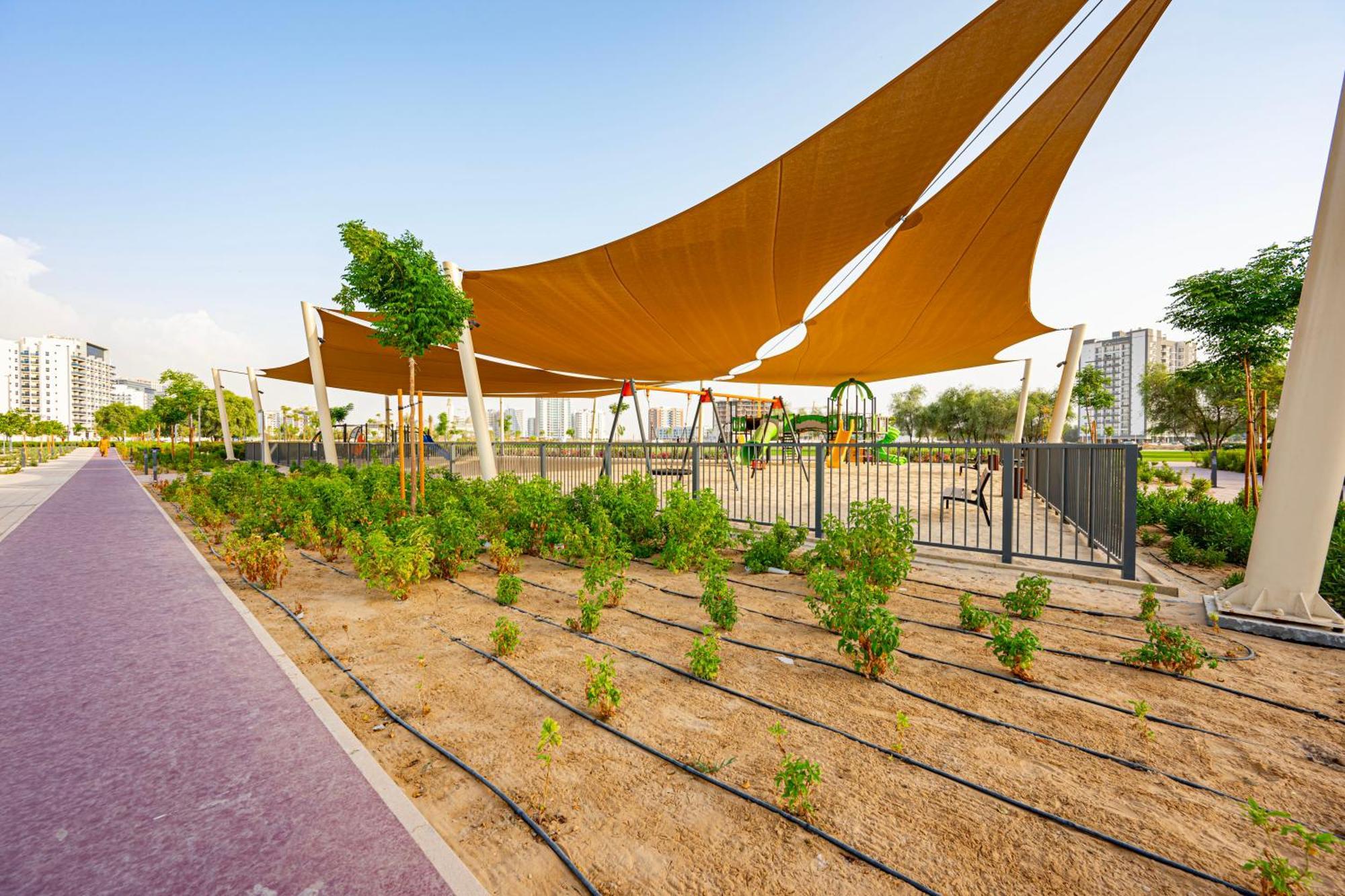 Apartment Modern Oasis In Vibrant Dubailand