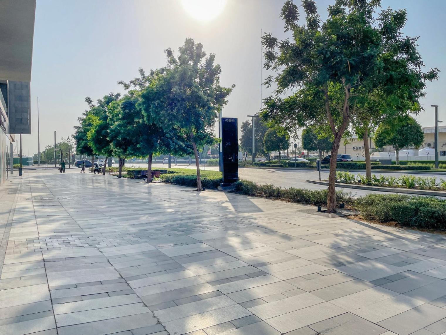 Blueground Building 24 Pool Gym View Dxb-1385 Apartment