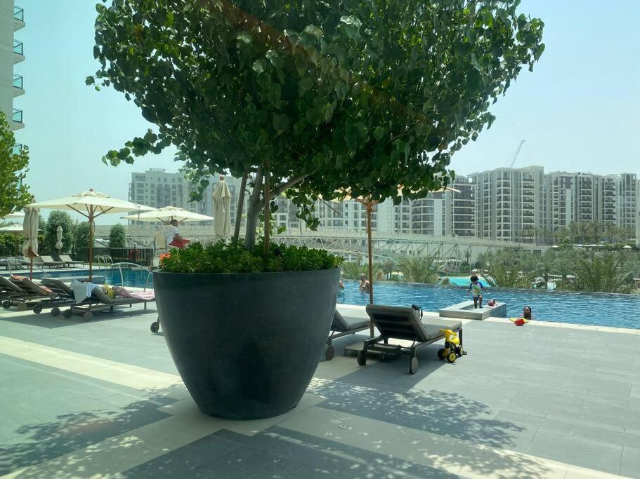 Elegant Luxury Living In Palace Residences Apartment