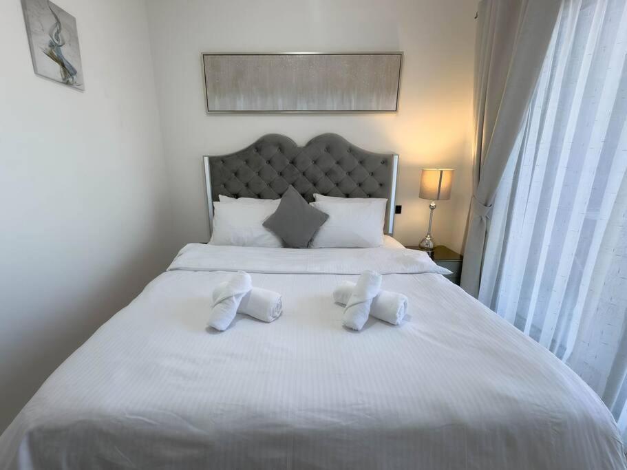 Apartment Cozy 1br 10 Min From Downtown