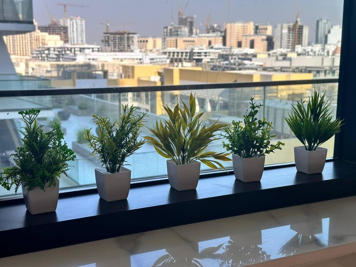 Spacious 1-bedroom With Pool View Apartment Dubai