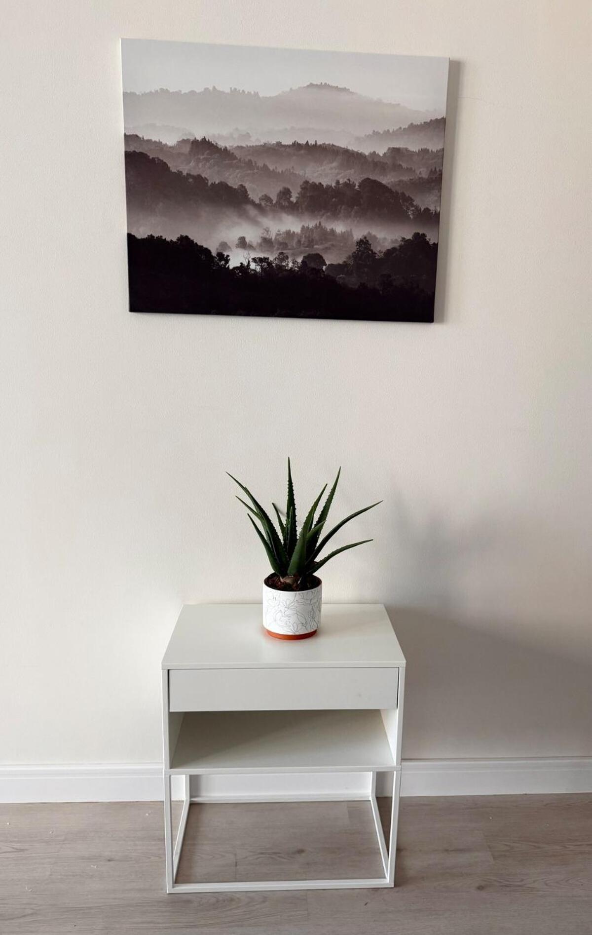 Upgraded Brand New Downtown Apartment
