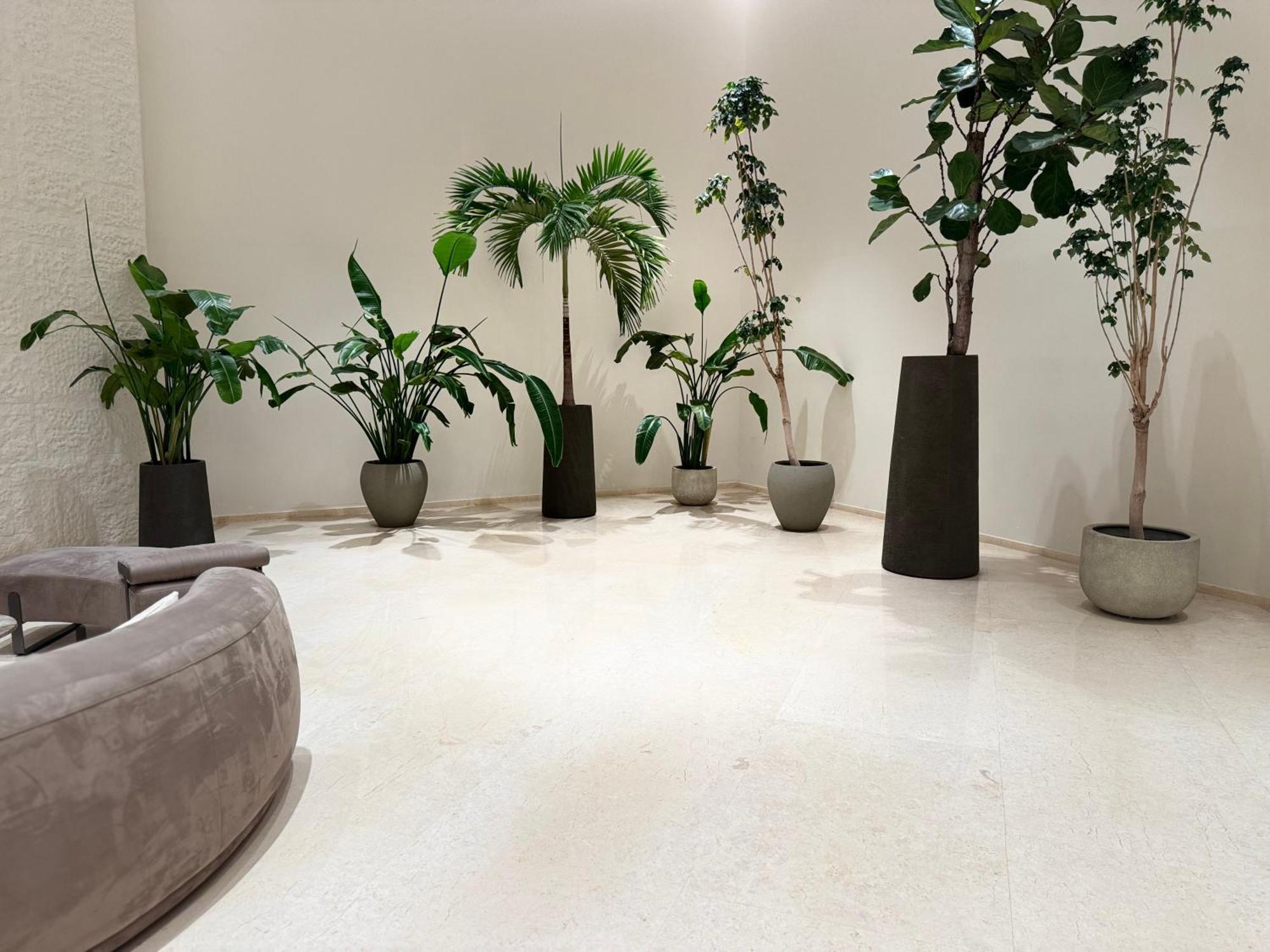 Apartment Ashri Stylish African-inspired In Difc *
