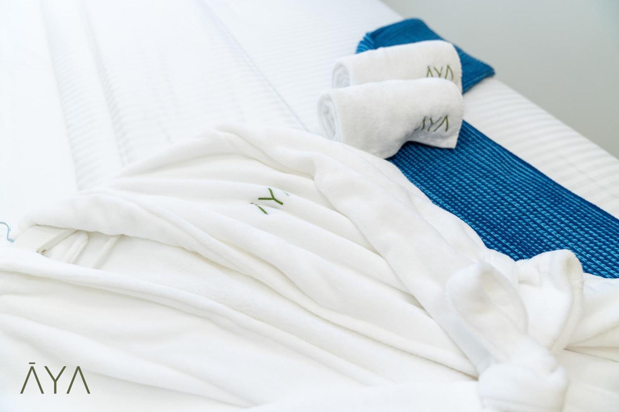 Elegant 2br - 10 Min To Mall & Burj Khalifa At Aykon By Aya Boutique Apartment Dubai