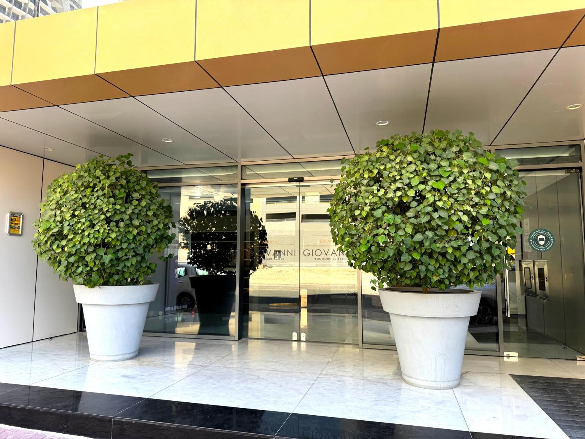 Luxrious L Jvc L At Milano Giovani