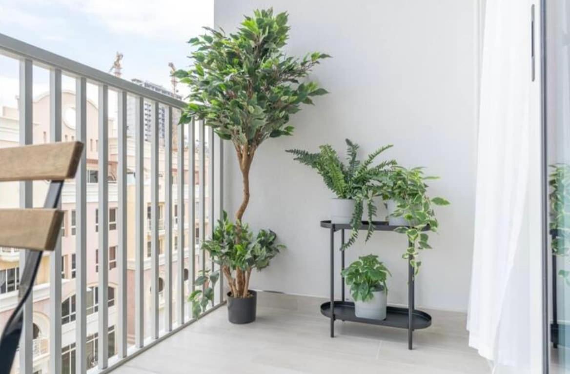 Jaw Dropping In Luma21 Apartment *