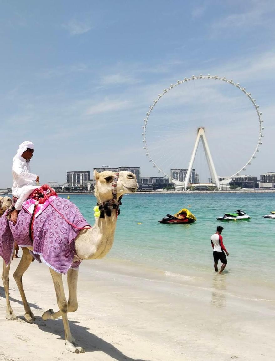 Ultimate 2br Sea View At Jbr Ain High Floor Luxury Apartment