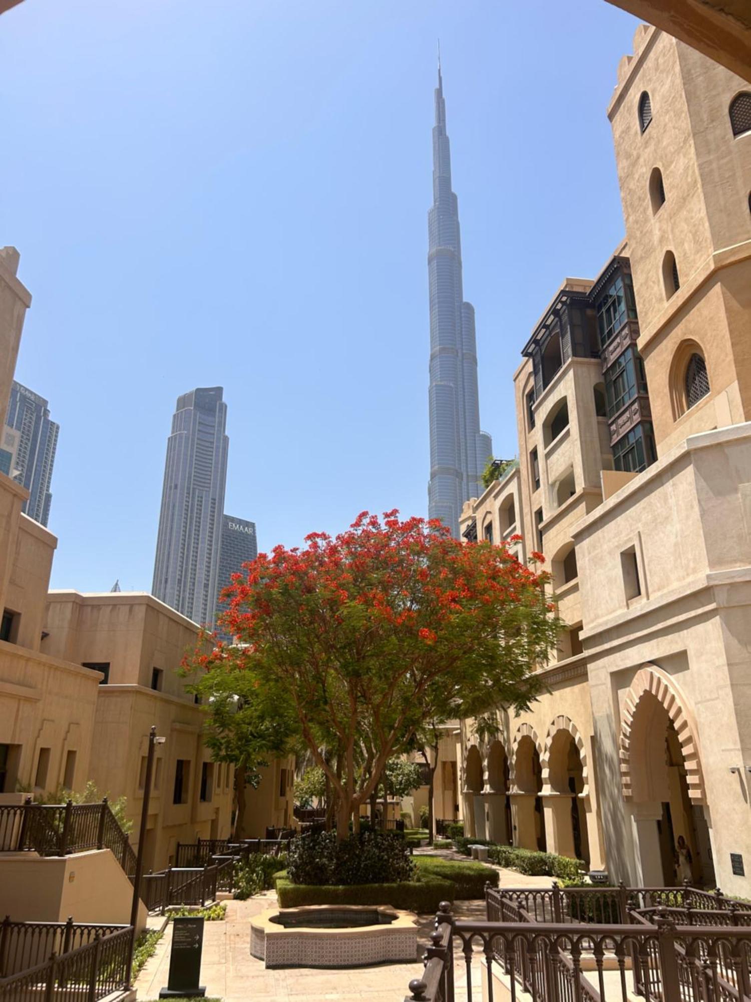 Mall Aparment Apartment *