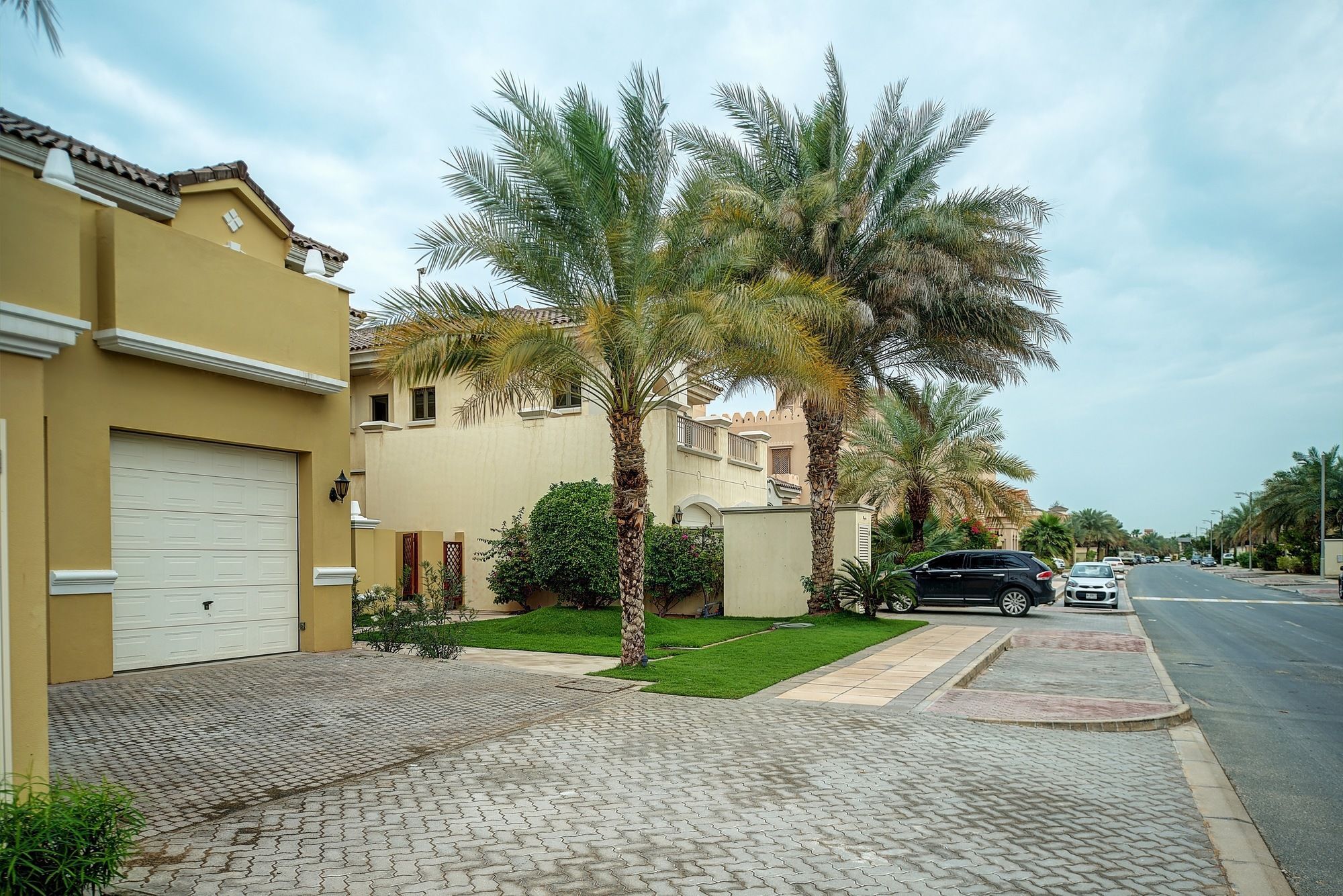 Inn Dream - Palm Frond O *