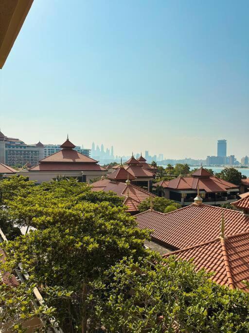 Family Friendly At Palm Apartment *