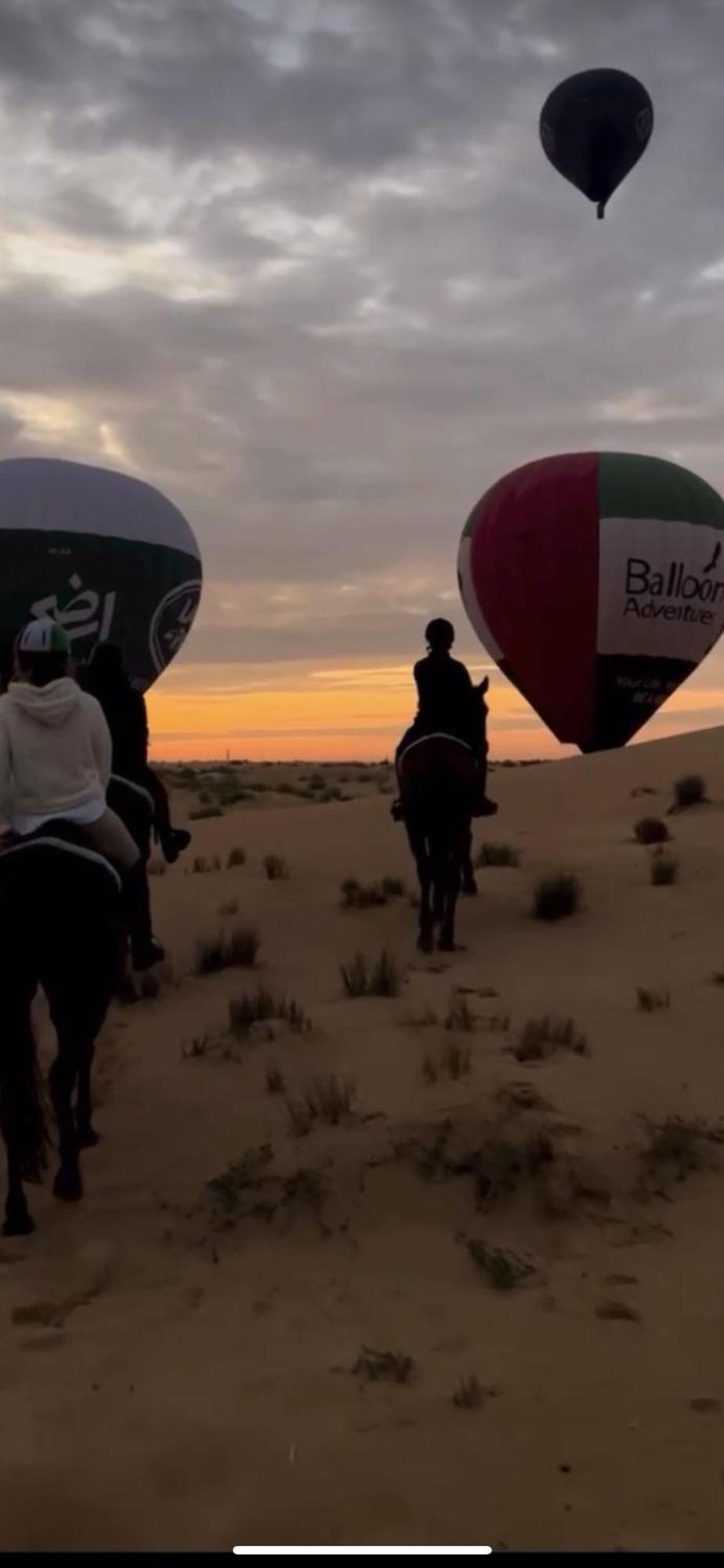 Luxury tent Dubaicanam Camp *