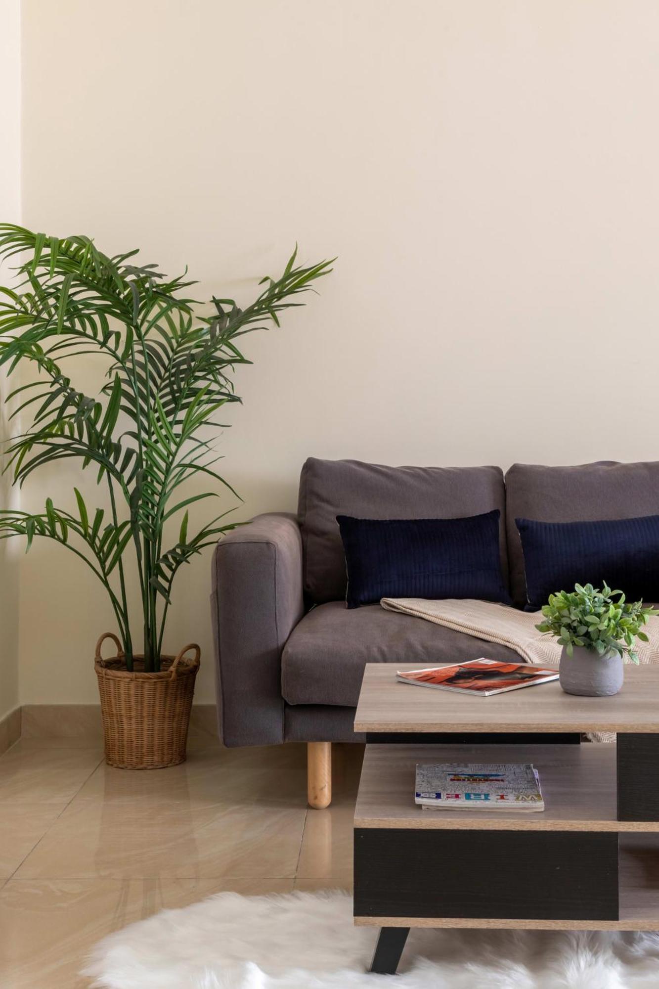 Frank Porter - Riah Towers Apartment Dubai