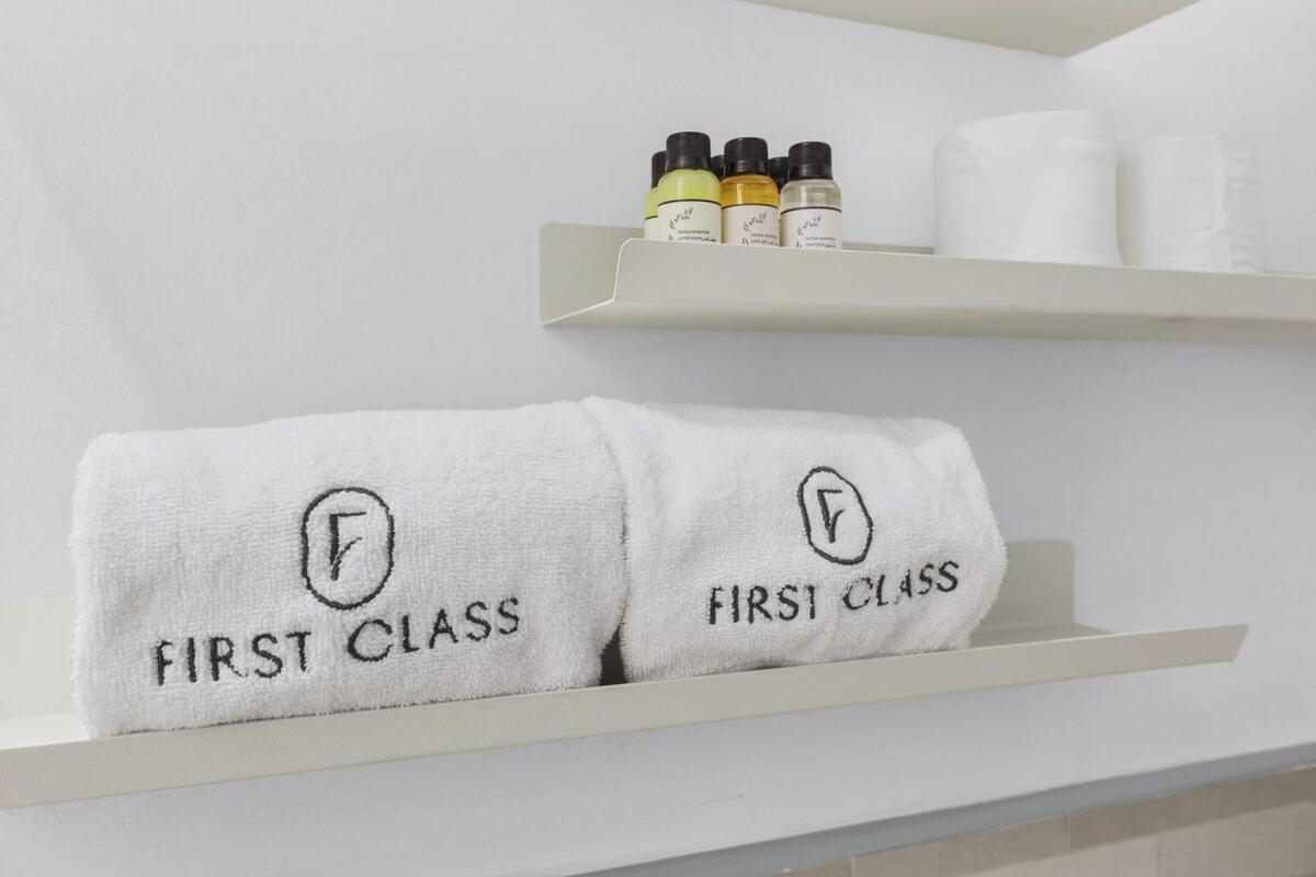 First Class Style Meets Scenic Beauty Apartment
