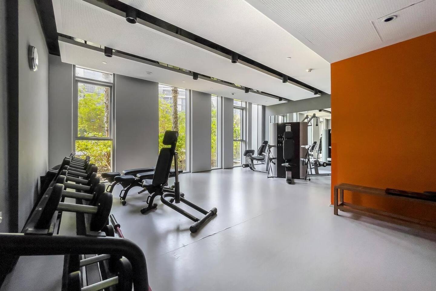 Bluewaters Sea View 2br Pool & Gym & Beachfront * Dubai
